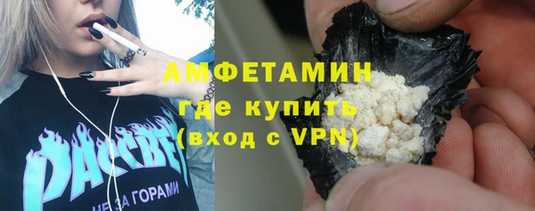 индика Вяземский