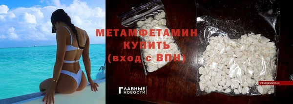 индика Вяземский