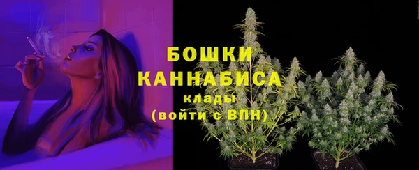 индика Вяземский