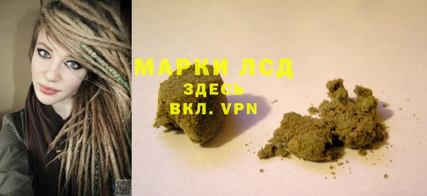 индика Вяземский