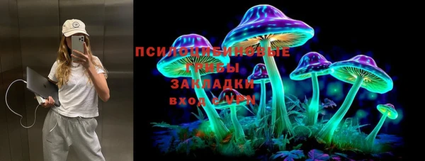 индика Вяземский