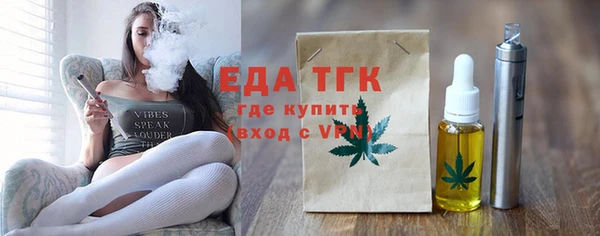 индика Вяземский