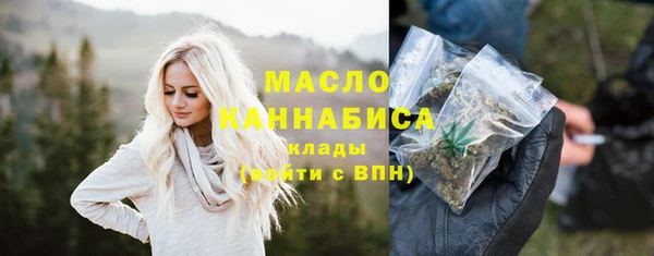индика Вяземский