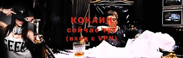 индика Вяземский