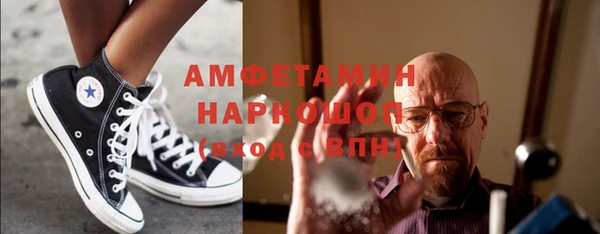индика Вяземский