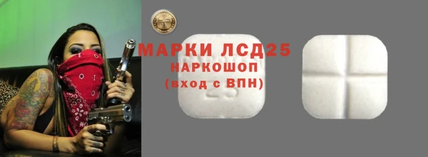 индика Вяземский