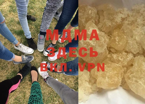 индика Вяземский