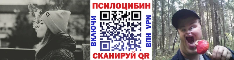 Галлюциногенные грибы Magic Shrooms  Мезень 
